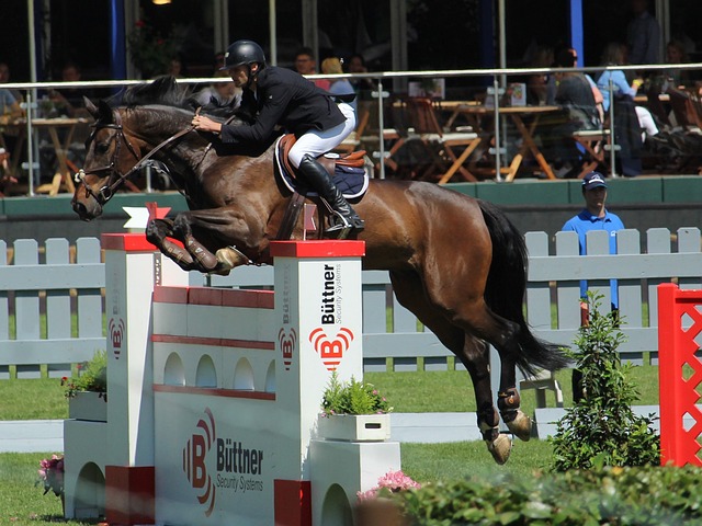 的深思熟虑 的深思熟虑