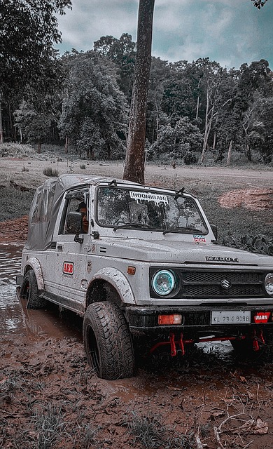 失了组织反 失了组织反