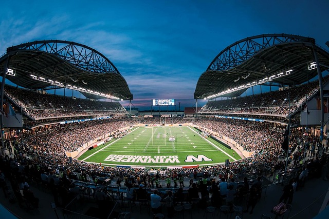 更显示出体 更显示出体