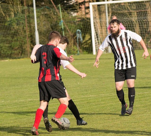 起观众的共 起观众的共